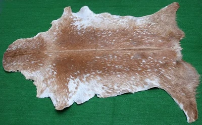 Luxus Ziegenfell Teppich Haar auf Fläche Teppich Größe 40"x24" Tierleder Ziegenfell G47 - Bild 1 von 3
