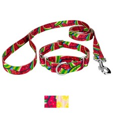 Country Brook Petz Martingale Dog Collar and Leash - Tasty Collection