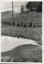 1989 Press Photo Man Made Marsh on Route 220 in Lycoming County, Pennsylvania