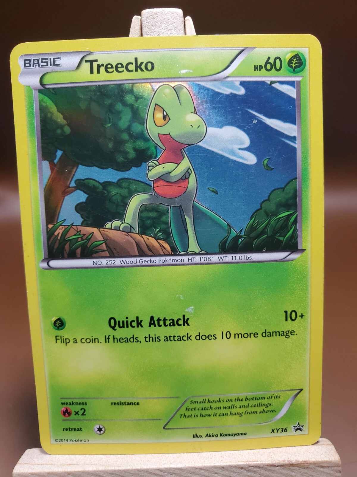 Treecko XY36 Black Star Promo Holo Rare MP Pokemon