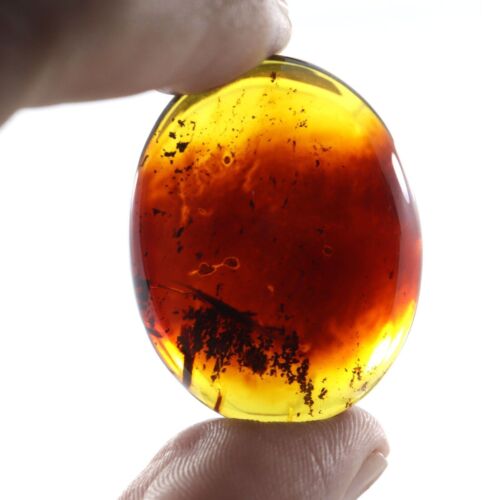 Natural Baltic Amber Loose Gemstone for Making Jewelry Christmas Gift - Picture 1 of 5