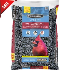 10/20/40 lb.Bag Pennington  Oil Sunflower Seed Wild Bird Dry Feed Black