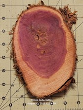 Aromatic Red Cedar 5" x 7" Diameter Oval  " Thick Live Edge Wood Rounds Natural
