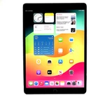 Apple iPad Pro 256GB Wi-Fi 10.5in Space Grey iOS 17 Good Condition Grade B/C 118