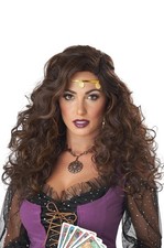 Mystified Gypsy Fortune Teller Adult Wig Brunette 