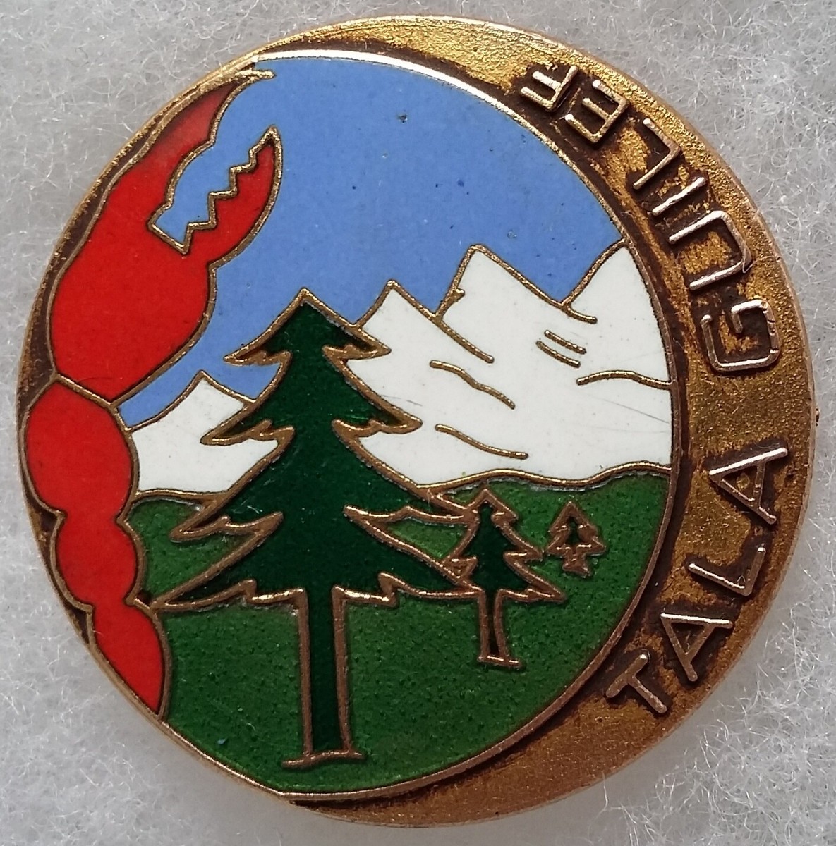 Insigne CIT 162 Centre Instruction Train – AFN Algérie, Original Armée Française (1950-60)
