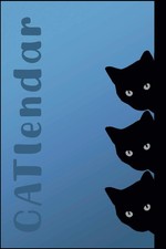 Carnet Calendrier Trois Chats Ombragés 2024-2025-2026 | CATlendar Planificateur 3 ans...