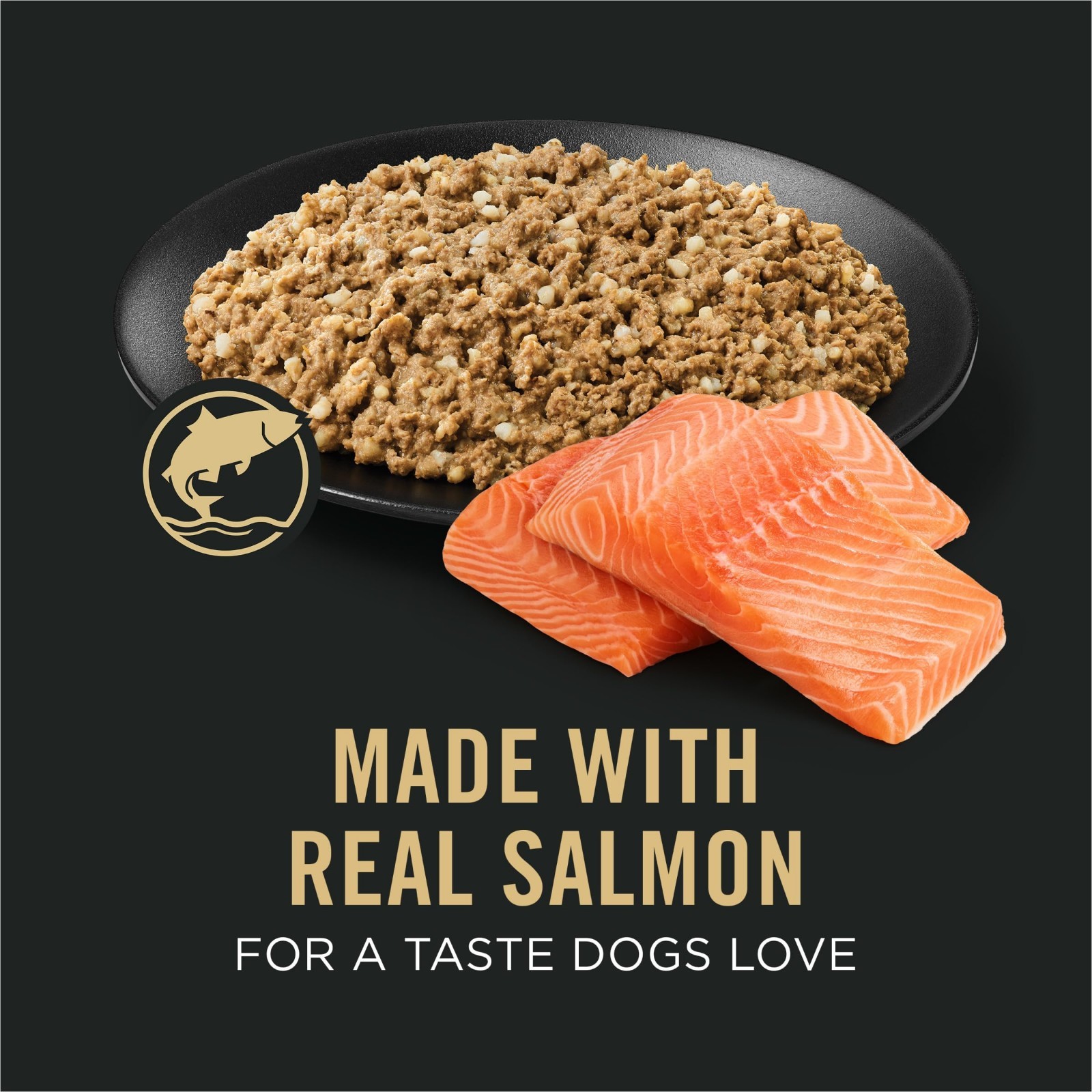 Purina Pro Plan Sensitive Skin and Stomach Dog Food Wet Classic Pate Salmon