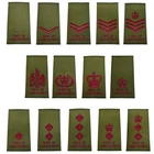 Duke of Lancaster's Olive Rank Slide Maroon Embroidery (PAIR) - British Army