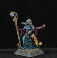 Painted Garwin Greywand, Wizard from Reaper Miniature, mage D&D male character