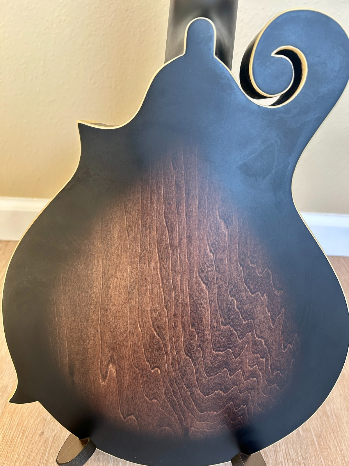 Gold Tone F-6 F-Style Mando-Guitar with Pickup and Case