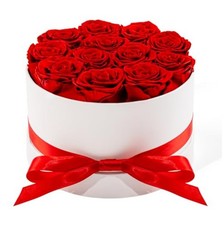 12 Piece Preserved Roses in Box Real 2-2.5 Inch Red Forever Flowers Gift for