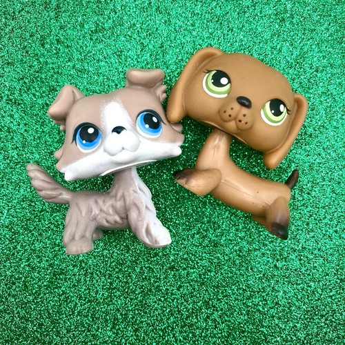 Littlest Pet Shop Hasbro #67 Authentique – Chien Collie D’origine, LPS Collector