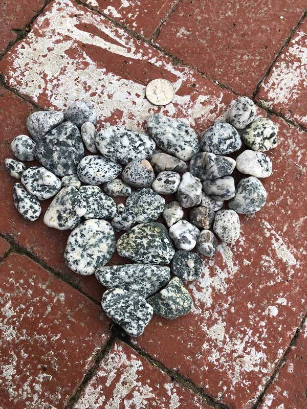 42 Natural Pacific Ocean Beach Stones Rocks Hand Picked from California Beaches