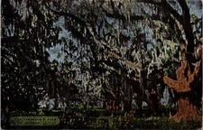 Packenham Oakes New Orleans Louisiana LA Linen Postcard XG5