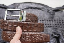 W 1.5 " - Brown Genuine CROCODILE Hornback LEATHER Skin Men's Belt K74