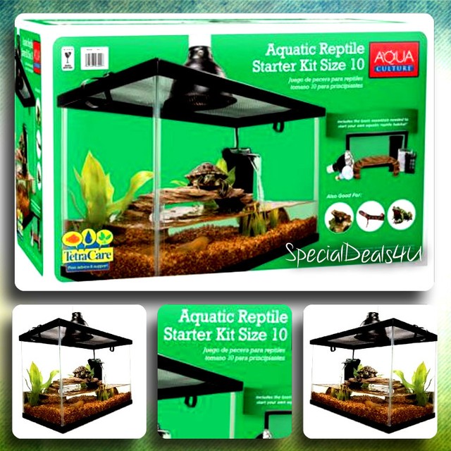 10 gallon turtle starter kit