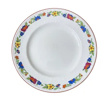 Myott & Sons The Orient Bright Flower Pattern 10 Inch Dinner Plate England 1844