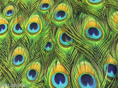 Peacock Feathers Digital Print Fabric Cotton Curtain Material - 140cm wide GREEN