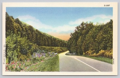 Vintage Linen Postcard Scenic Road by Curt Teich S-1097 1930s-40s