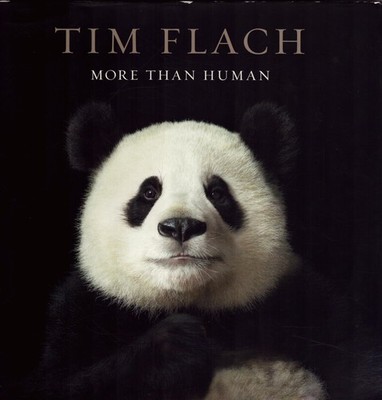 More Than Human by Lewis Blackwell