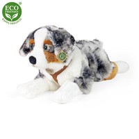 Australian Shepherd L=61 Cm Hund PlüSchtier Stofftier Kuscheltier PlüSch