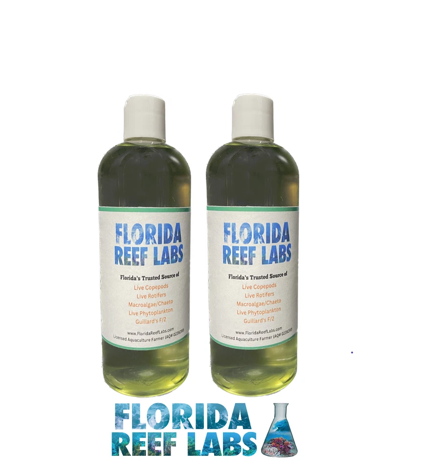 LIVE Marine Rotifers L-Strain 32oz - Florida Reef Labs® - ENVÍO RÁPIDO Foto 4 de 4