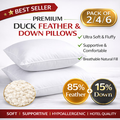 Entenfedern & Daunenkissen extra gefüllt Hotelqualität 100% Baumwolle 2er,4er,6er Pack