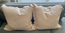 Set of 2 Crate Barrel 20" x 20" Feather Pillows W/ Cases Wallace Blush