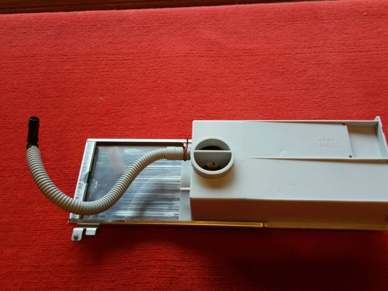 Foto 7 di 9