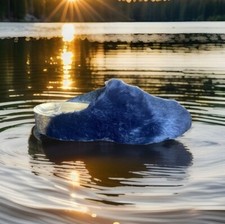 Flexus by Spring Step Women's Peluchey Mule EU 37  US 7 BLACK-BLUE fur