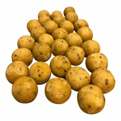 MTC Baits Shelf Life Boilies Karpfenköder Teig Haarmontage Konserviert