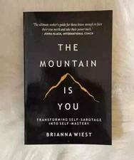 THE MOUNTAIN IS YOU BY BRIANNA WIEST PAPERBACK FREE SHIPPING