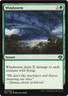 Windstorm Dual Decks: Anthology MTG Uncommon