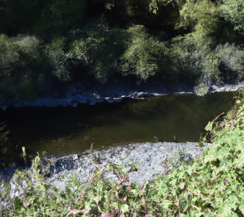20 ACRE, COW CREEK PLACER GOLD CLAIM, DOUGLAS COUNTY, SOUTHWEST OREGON