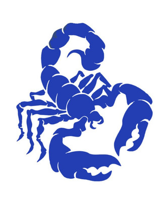 Skorpion Vinyl Aufkleber Abziehbild - Ideal für Wand/Laptop/Tablet/Windows etc.