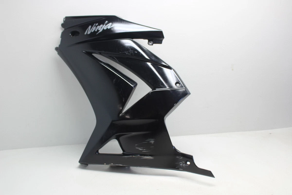 ZX25R/ZX4RR カーボンサイドテールカバー ZX25R⁄ZX4R カーボンサイド