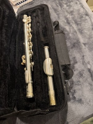 Piccolo Student Beginners Instrument and Case for Beginners