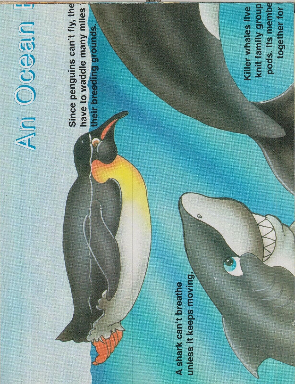 Imagen 5 de 6
