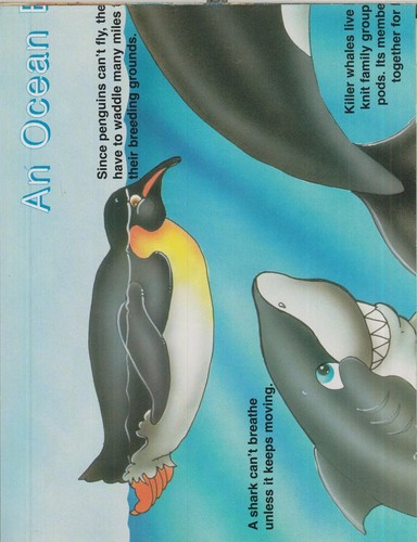 Set of 6 Two-Sided Educational Posters (Posters: Children's, Poster) 2001 - Imagen 5 de 6