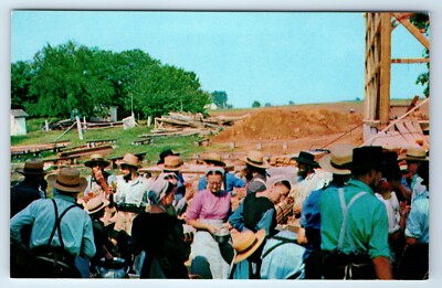 Vintage Postcard Barn Raising Amish Men Pennsylvania PA