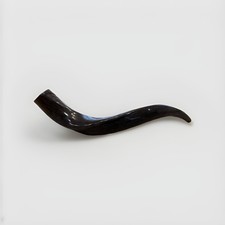 Shofar Kudu Horn 24  -27  ' New KOSHER Made All Natural