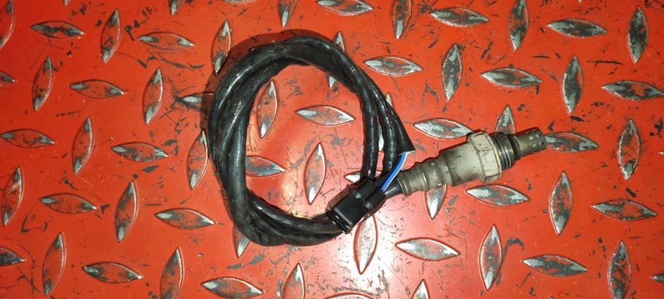 sonde lambda Z900 - Photo 1/1