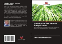 Francis Boluwaji Elehinafe | EnquêTe Sur Les Valeurs éNergéTiques | Taschenbuch