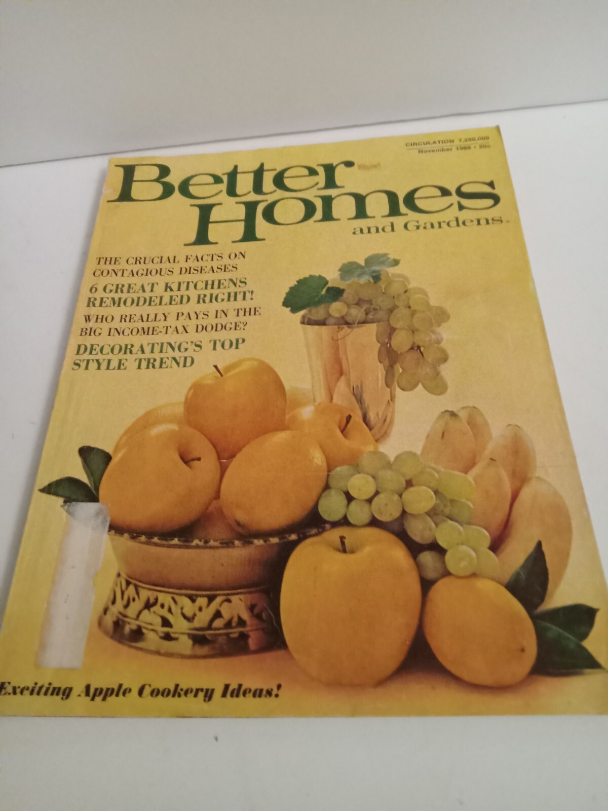 Better Homes and Gardens Nov 1968 60s Decor and Disease Trends