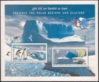 India 2009 International Polar Year Bear Penguin Map Animals miniature sheet