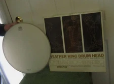NEW Remo Ambassador Weather King  Tom Batter Drum Head/Skin 16" Coated