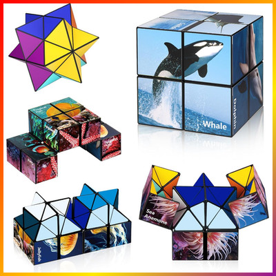 Zauberwürfel Set Magic Cube Puzzle für Kinder und Erwachsene 3D Spielzeug