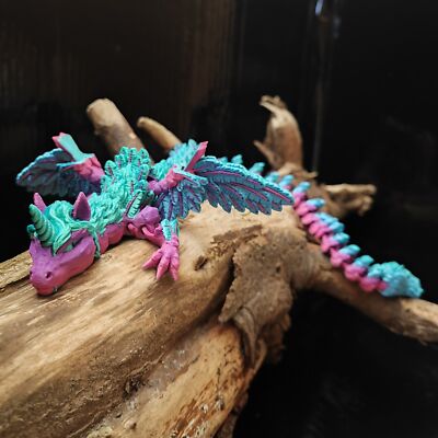 Drachen - Einhorn