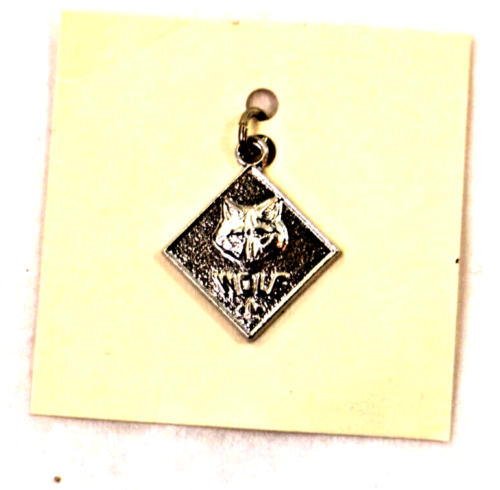 Vintage BSA Boy Scouts of America- Rank Charms 1970s-1980s - Picture 6 of 40